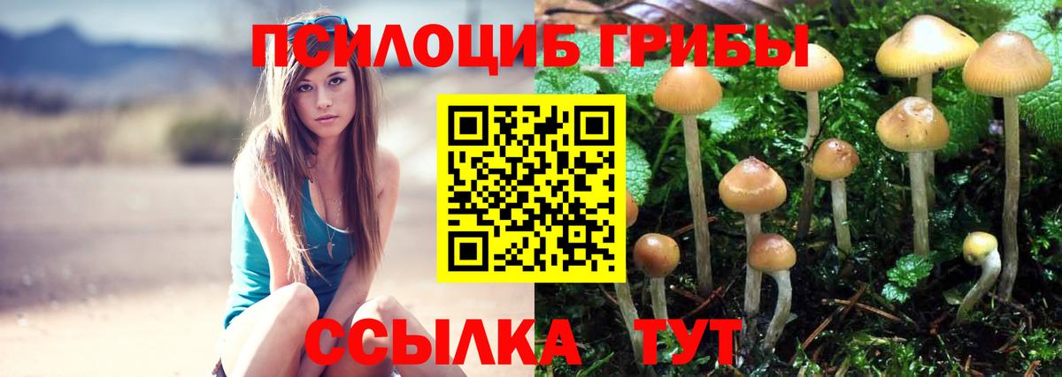 Алушта  Галлюциногенные грибы Psilocybine cubensis  где купить наркотик  Вход с VPN 